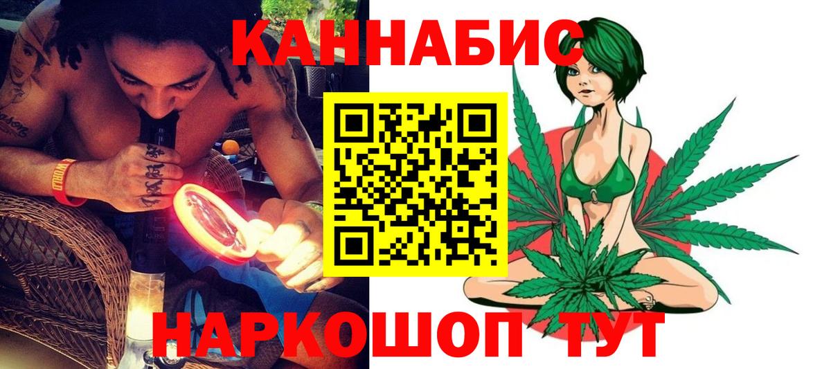 МАРИХУАНА сатива Тара